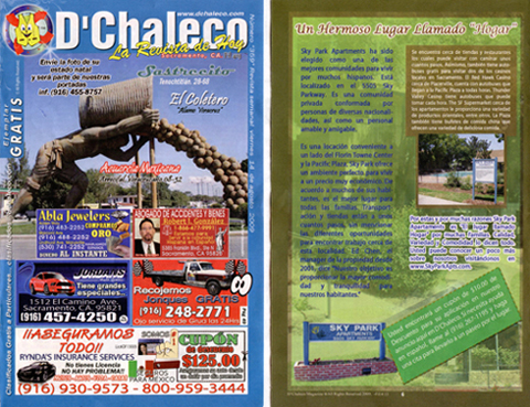 d chaelco sky park apartments article